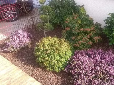 Création paysagère