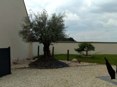Rattel Paysagiste : aménagement paysager à Chaingy près d'Orléans et Olivet (45) 